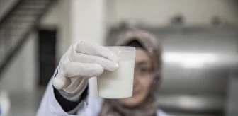 Karayazı'da Kadınlar Geçimini Süt Üretiminden Sağlıyor