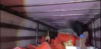 Batman'da 171 Kilo Skunk Ele Geçirildi