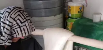 Türkiye'de 287 Çeşit Peynir Var