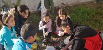 Yozgat'ta Öğrencilerden Sokak Kedileri İçin Barınak