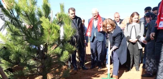 Gaziantep'te Yeşil Şehir Projesi Kapsamında 3 Bin 26 Metrekarelik Alana Ağaç Dikimi Yapıldı