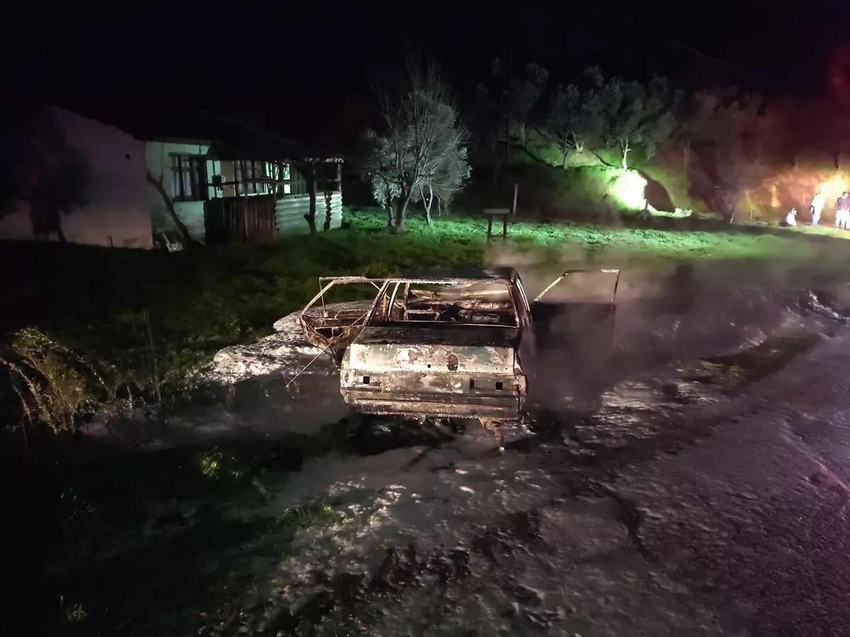 Erdek'te çıkan yangında otomobil kullanılamaz hale geldi