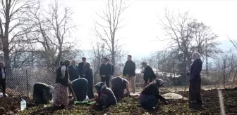 Bursa'nın Keles ilçesinde örnek salep bahçesi oluşturuldu