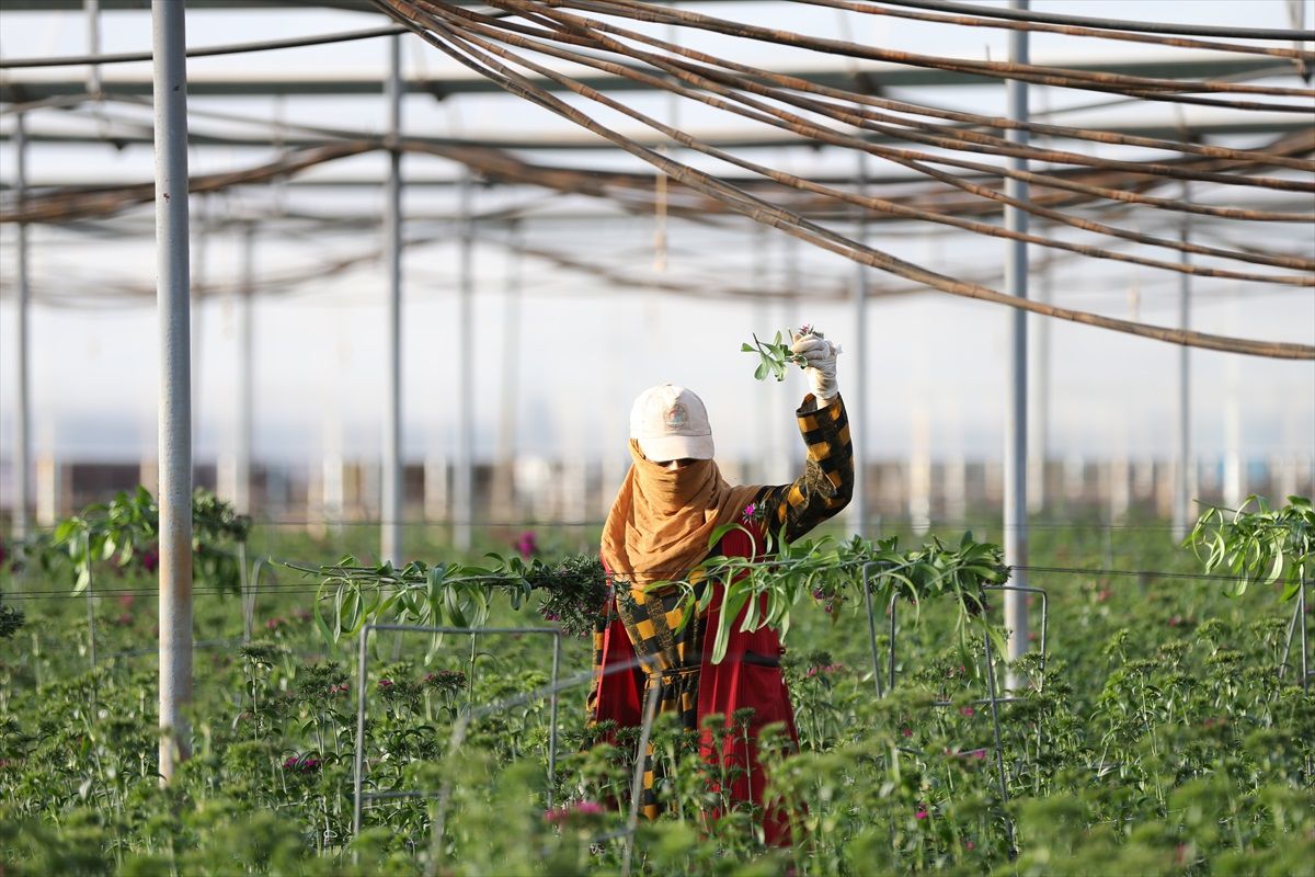 Antalya Ticaret Borsası, Tarım Alanlarında Karbon Ayak İzini Ölçen Yazılımdan 14 Bin Üretici Faydalandı