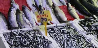 Samsun'da Balık Fiyatları Yılın Son Günü Yükseldi
