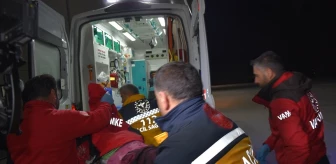Van'da Rahatsızlanan Hamile Kadın ve Epilepsi Hastası Çocuk Polis Helikopteri ile Hastaneye Ulaştırıldı