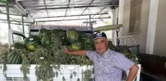 Salihli'de traktörün yanında vurulan çiftçi hayatını kaybetti