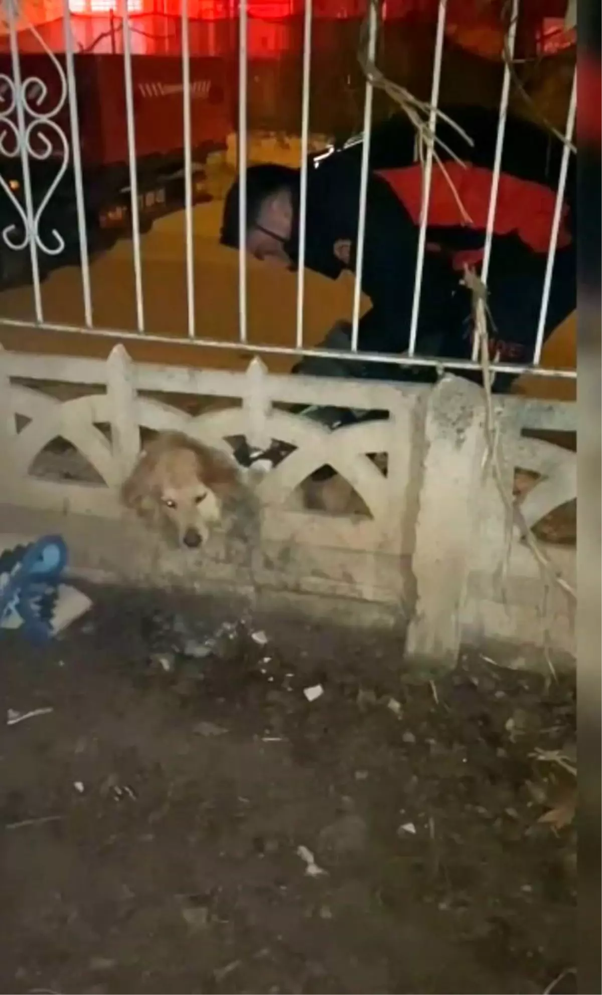 Elazığ'da sıkışan köpek itfaiye ekipleri tarafından kurtarıldı