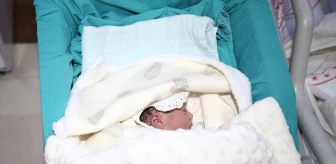 Mardin, Bingöl ve Elazığ'da 2024 Yılının İlk Bebekleri Dünyaya Geldi