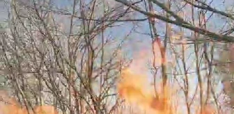 Sakarya'da Ormanda Yangın Çıktı