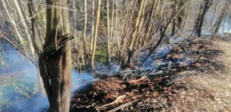 Sakarya'da Orman Yangını Kontrol Altına Alındı