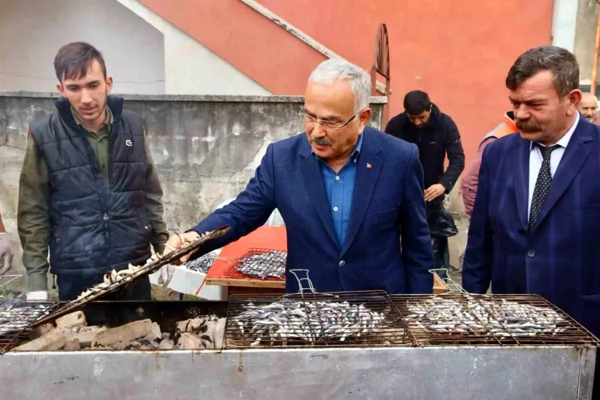 Perşembe ilçesinde hamsi şenliği düzenlendi