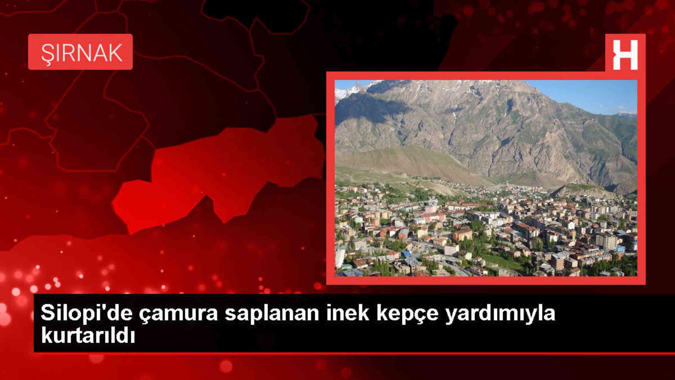 Silopi'de kaybolan inek kepçe ile kurtarıldı