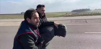 Bandırma'da Jandarma Dolandırıcısı Yakalandı