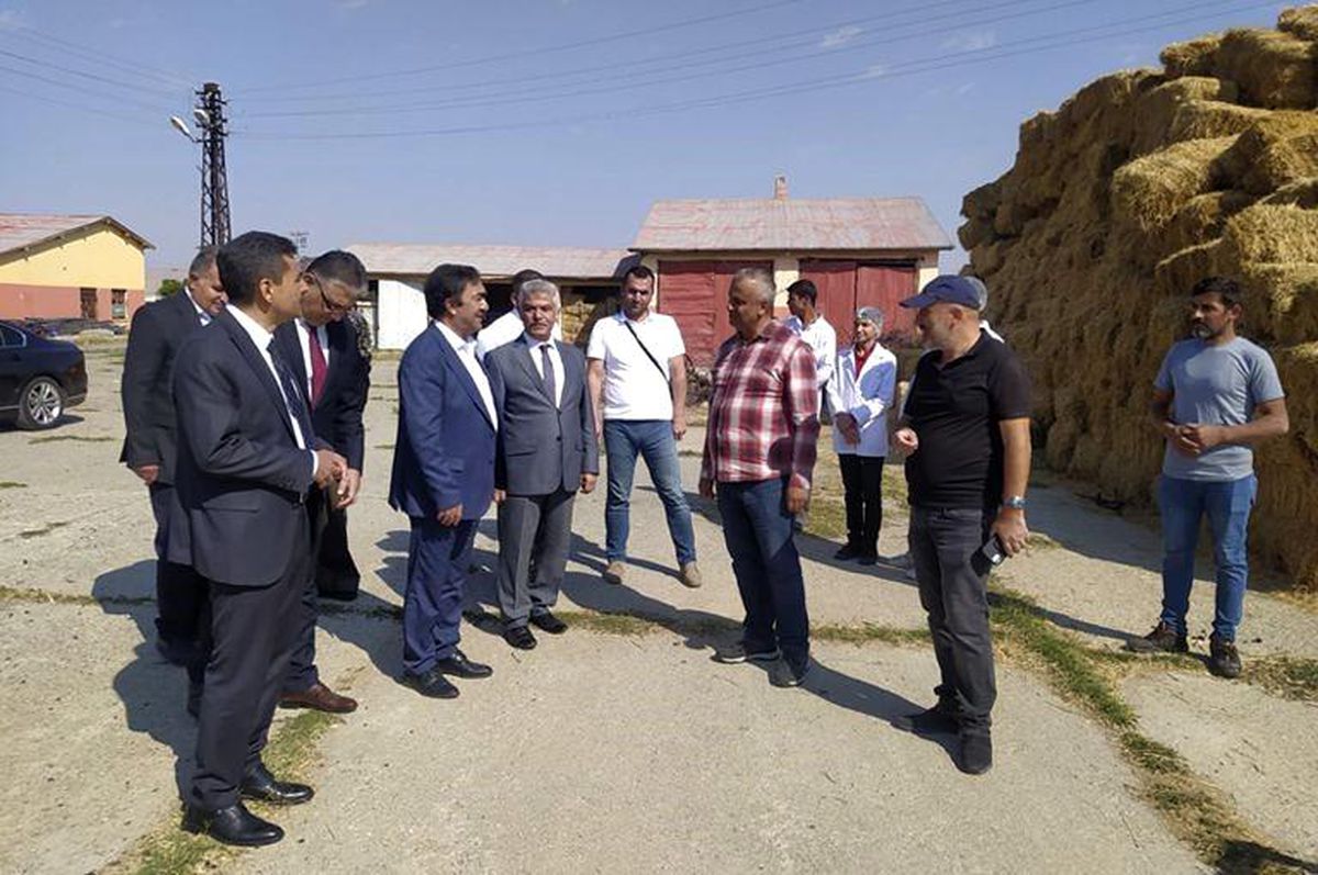 Doğu Anadolu Projesi (DAP) Bölge Kalkınma İdaresi Başkanlığı'ndan 2013-2023 yılları arasında 15 ilde bin 925 projeye destek