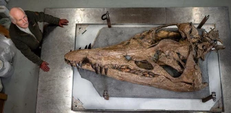 Devasa Deniz Canavarının Kafatası Jurassic Sahili'nde Bulundu