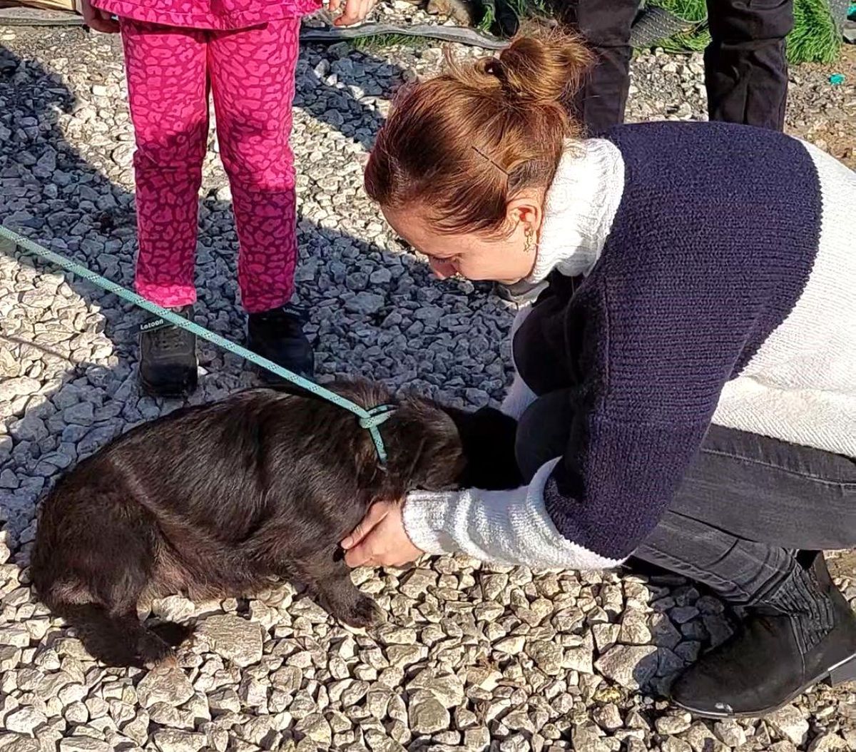 Düzce'de Kaybolan Köpek Edirne'de Bulundu