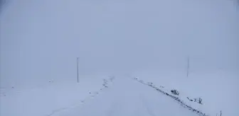 Kars'ta Kar ve Tipi Etkili Oldu