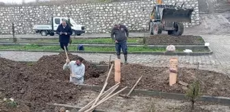 Fırtınada ölen Ukraynalı denizcinin cenazesi kızının ortaya çıkmasıyla ülkesine gönderildi