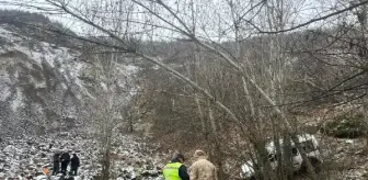 Tunceli'de otomobil şarampole devrildi: 1 ölü, 1 ağır yaralı