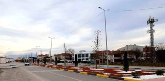 Sakarya Büyükşehir Belediyesi Şehit İlhan Aras Caddesi'ni Güzelleştirdi