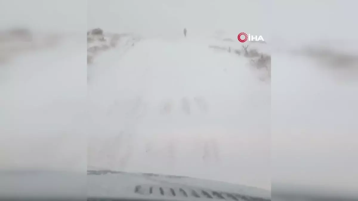 Kaybolan flaş belleğini aramaya giden genç, karda mahsur kaldı