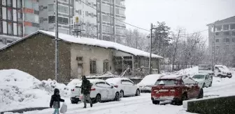 Van, Muş ve Bitlis'te Yoğun Kar Nedeniyle 357 Yerleşim Yerinin Yolu Kapandı