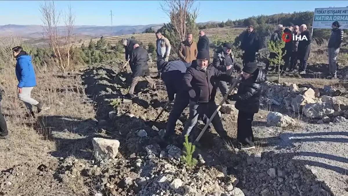 Soğuk havaya aldırmayan Tokatlılar fidan dikmek için birbirleriyle yarıştı