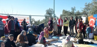Tarsus'ta AK Parti Kadın Kolları tarafından Sıkma Şenliği düzenlendi