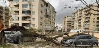 Bursa'da Fırtına: Dış Cephe Kaplamaları Uçtu, Ağaçlar Devrildi