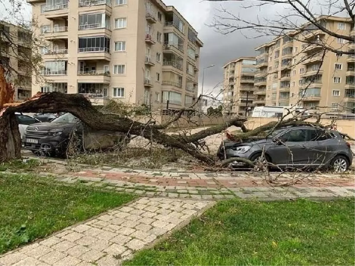 Bursa'da Fırtına: Dış Cephe Kaplamaları Uçtu, Ağaçlar Devrildi