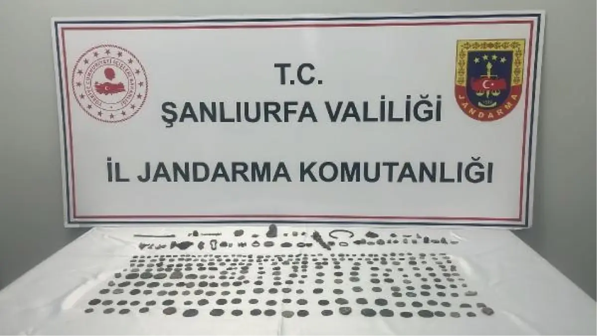 Şanlıurfa'da tarihi eser operasyonu: 273 sikke ve 47 obje ele geçirildi