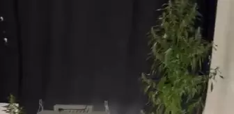 Samsun'da Uyuşturucu İmalatı Yapan 4 Şüpheli Gözaltına Alındı