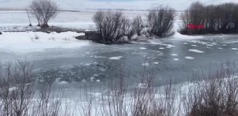 Ardahan'da Kura Nehri'nin yüzeyi buzla kaplandı