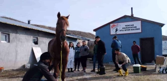Erzincan'ın Tercan ilçesinde cirit atları sağlık taramasından geçirildi