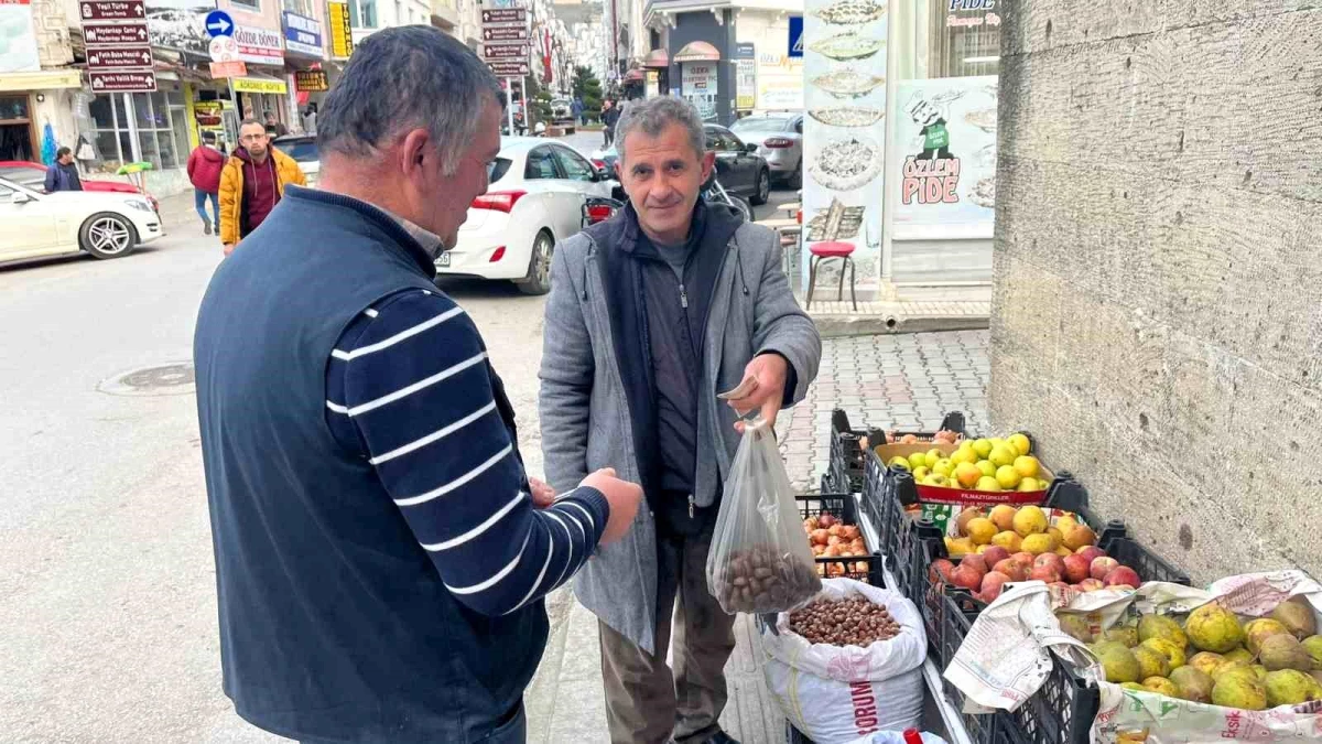 Sinop'ta Erfelek kuzu kestanesi sezonu sona eriyor