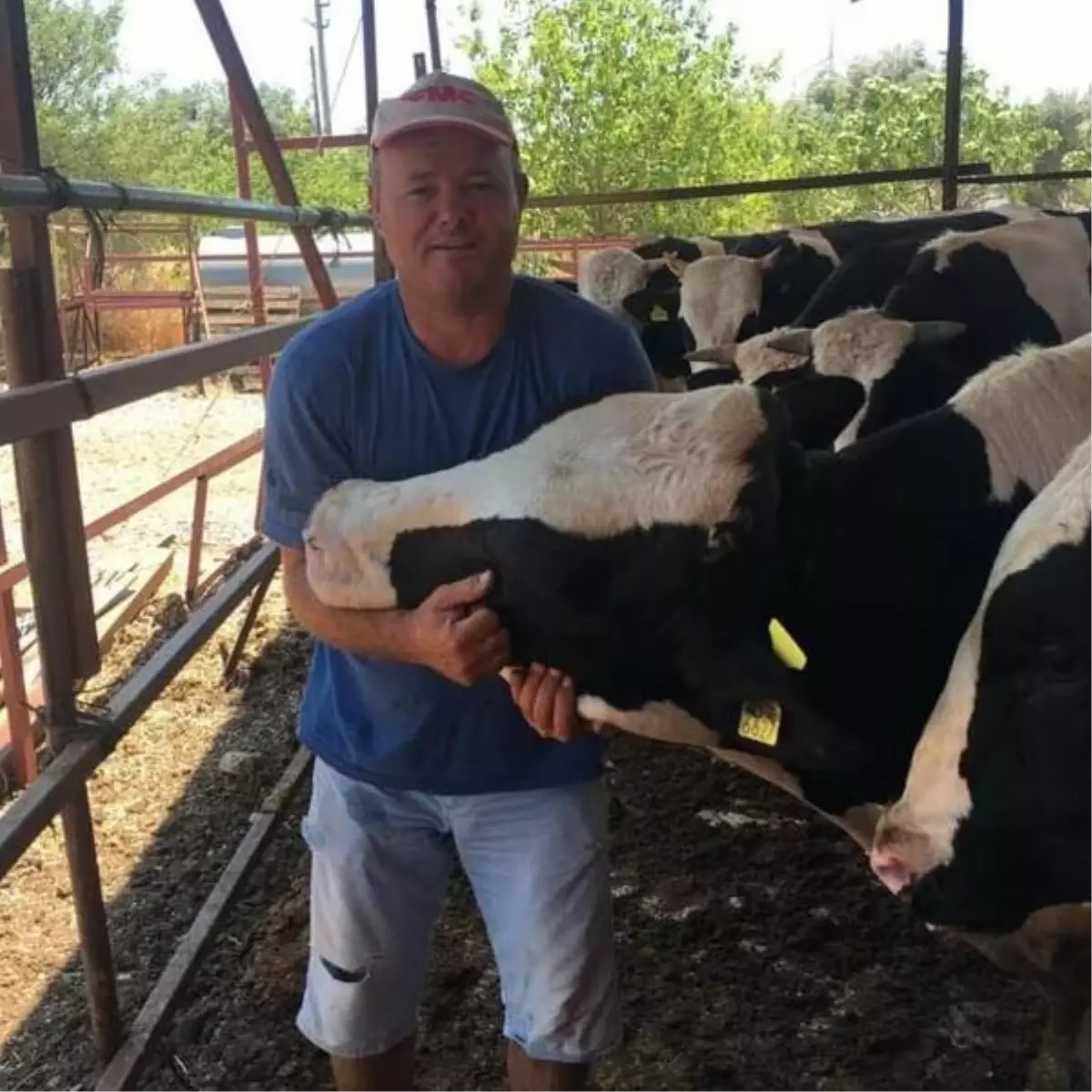 İzmir'de Arazi Anlaşmazlığı Tartışması Kanlı Bitti