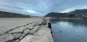 Bartin'da Liman Kumla Doldu