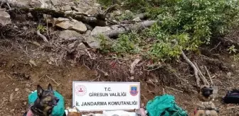 Giresun'da terör örgütünün kullandığı sığınak bulundu