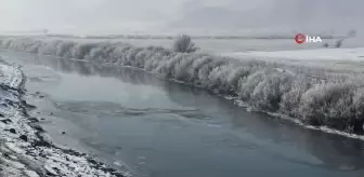 Yüksekova'da ağaçlar kırağı tuttu