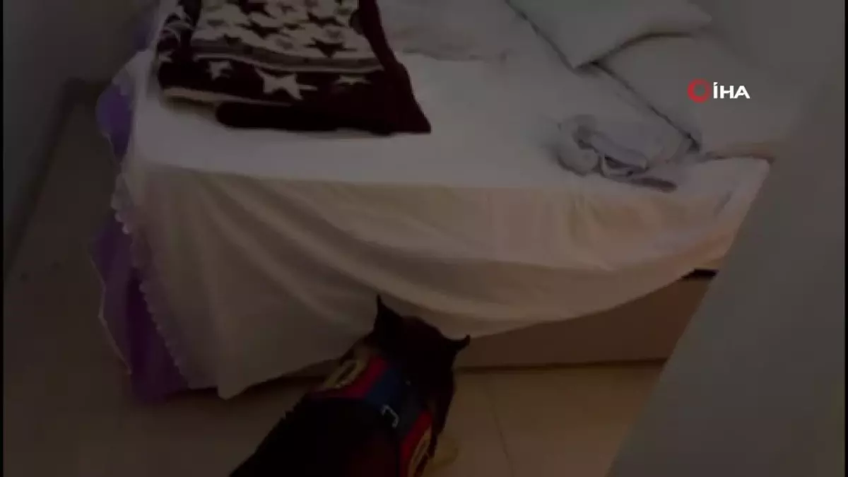 Narkotik köpeği bazanın içerisindeki uyuşturucuyu buldu
