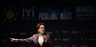Meral Akşener, İYİ Parti'nin adaylarının seçimi kaybettireceği eleştirilerine katılmıyor