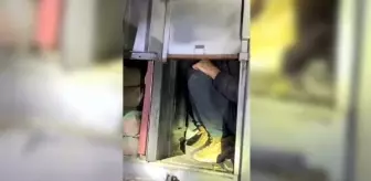 Bitlis'te TIR'da kaçak göçmen operasyonu: 24 kişi yakalandı