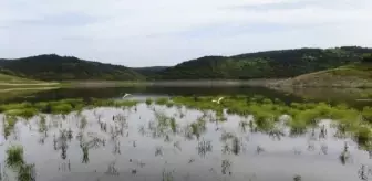 İstanbul Barajlarında Doluluk Oranları Artıyor