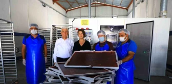 Muğla Büyükşehir Belediyesi Meyve Sebze Kurutma Tesisi Üreticilere Destek Sağlıyor