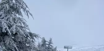 Tokat'ın Başçiftlik İlçesinde Kar Yağışı Etkili Oldu