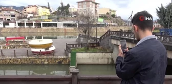 Irmakta nesli tükenme tehlikesindeki su samuru kameralara yansıdı