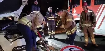 Pendik'te aydınlatma direğine çarpan sürücü olay yerinden kaçtı