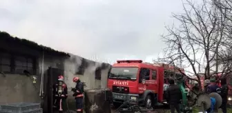 Sakarya'da Ahır ve Samanlık Yangınında 9 Büyükbaş Öldü