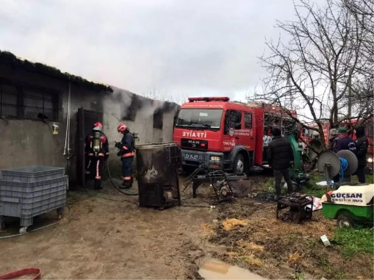 Sakarya'da Ahır ve Samanlık Yangınında 9 Büyükbaş Öldü